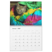 Seine Majestät der Kalender der Katzen-2011 (Jan 2027)