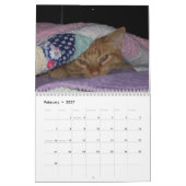 Seine Majestät der Kalender der Katzen-2011 (Feb 2027)