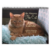 Seine Majestät der Kalender der Katzen-2013 (Titelbild)