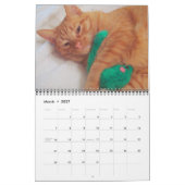 Seine Majestät der Kalender der Katzen-2013 (Mär 2027)