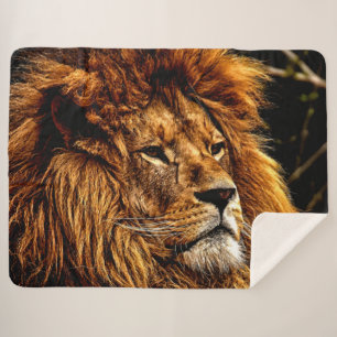 SEINE MAJESTÄT, DER LÖSUNGSMITTEL SHERPADECKE