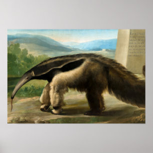 Seine Majestät Riesenspater von Anton R. Mengs Poster