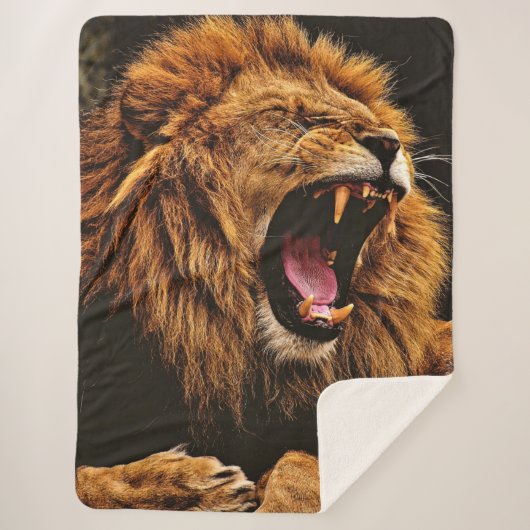 SEINE MAJESTY ROARS SHERPADECKE (Vorderseite)