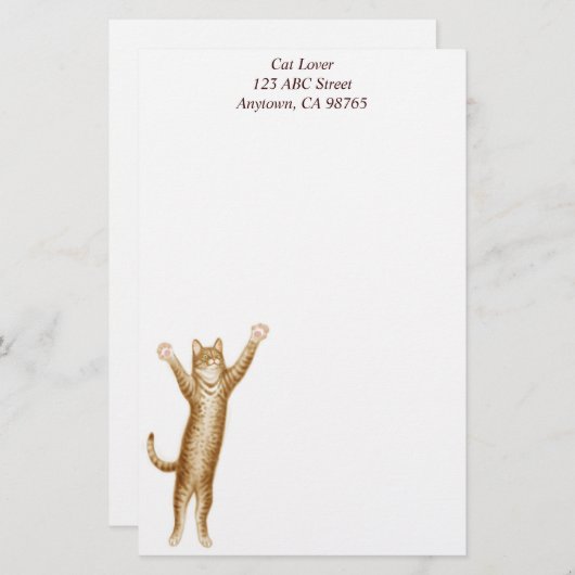 Seine superkite, anpassbare Schreibmaschine Briefpapier (Vorne/Hinten)