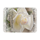 Seinen Frieden suchen: White Rose Magnet (Horizontal)