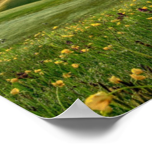 Seiser Alm, Dolomiten, Italien Poster (Ecke)