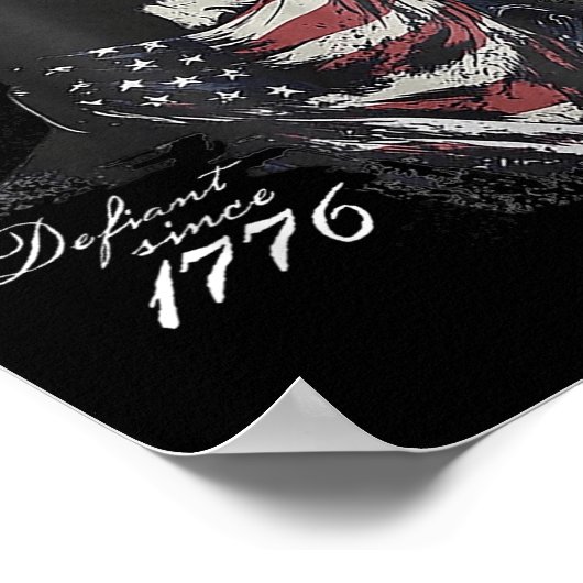 seit 1776 poster (Ecke)