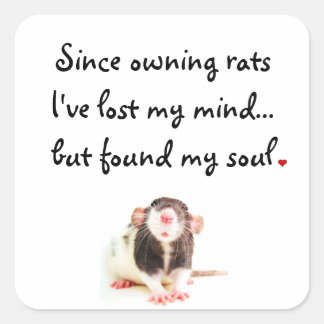 Seit der Besitzerin von Ratten... Quadratischer Aufkleber