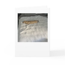 Seitdem Sie gegangen sind MillieGram