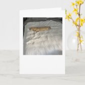 Seitdem Sie gegangen sind MillieGram Karte (Gelbe Blume)