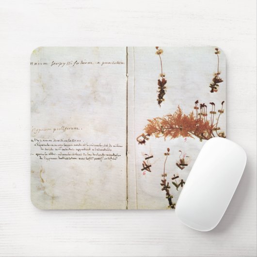 Seite 15 von einem Herbarium Mousepad (Mit Mouse)