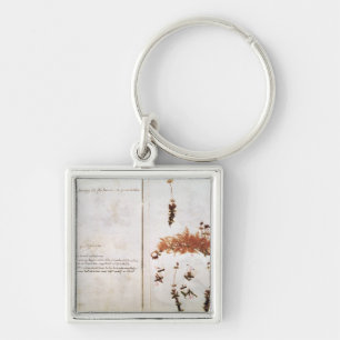 Seite 15 von einem Herbarium Schlüsselanhänger