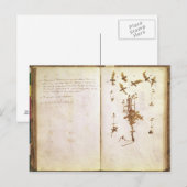Seite 24 von einem Herbarium Postkarte (Vorne/Hinten)