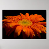 Seite an Gerber Poster (Vorne)