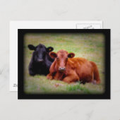 Seite an Seite Angus Rinderfotografie Postkarte (Vorne/Hinten)