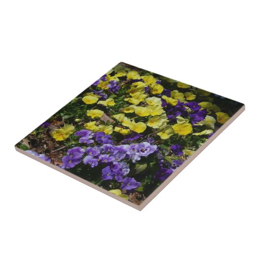 Seite der Lila und gelben Stiefmütterchen Fliese (Seite)