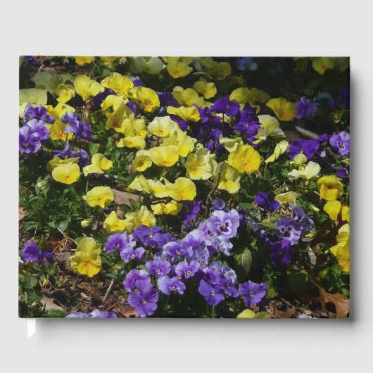 Seite der Lila und gelben Stiefmütterchen Gästebuch (Vorderseite)