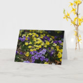 Seite der Lila und gelben Stiefmütterchen Karte (Gelbe Blume)