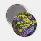 Seite der Lila und gelben Stiefmütterchen Magnet (Vorderseite/Rückseite)