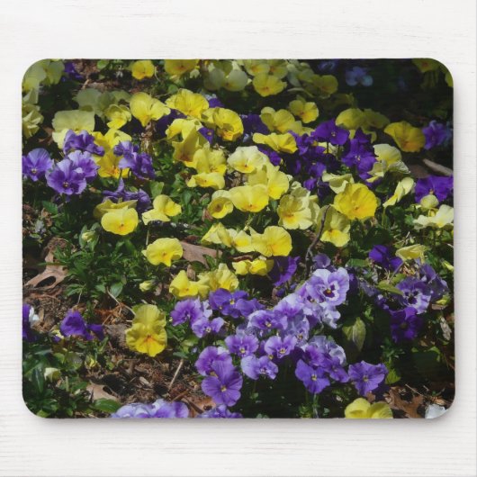 Seite der Lila und gelben Stiefmütterchen Mousepad (Vorne)