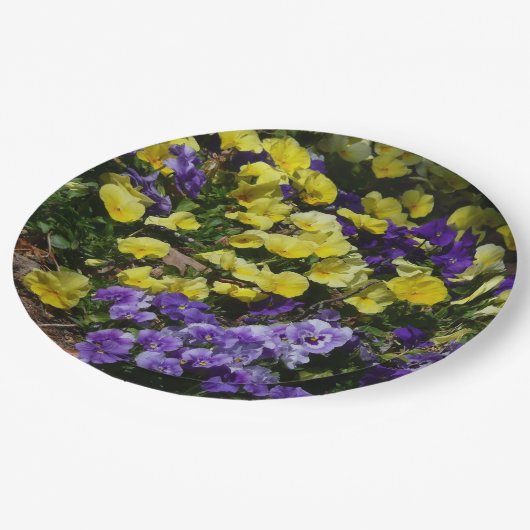 Seite der Lila und gelben Stiefmütterchen Pappteller (Schrägansicht)