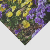 Seite der Lila und gelben Stiefmütterchen Seidenpapier (Ausschnitt)