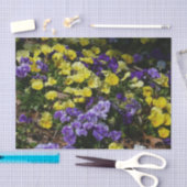 Seite der Lila und gelben Stiefmütterchen Seidenpapier (Handwerk)