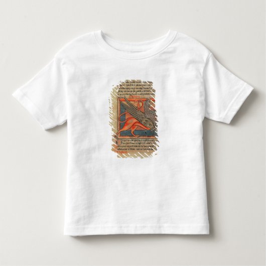 Seite des Textes mit einer Illustration eines Kleinkind T-shirt (Vorderseite)