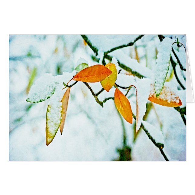 Seite drehen (Vorderseite (Horizontal))