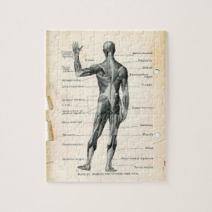 Seiten aus einem alten Anatomie-Buch Puzzle