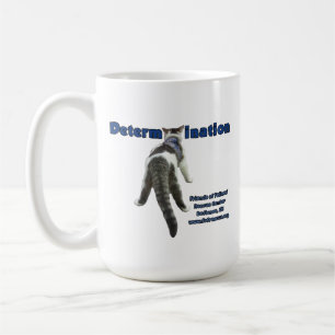 Seiten Derecho Tasse 2