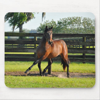 Seiten-Durchlauf Dons Diego Mousepad