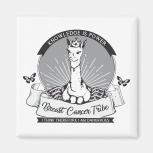 SEITEN-Magnet, mehrfache Farbe/Form/Größenwahlen Magnet