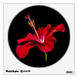 Seitenansicht der Blume des roten Hibiskus