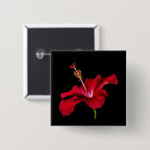 Seitenansicht der Blume des roten Hibiskus Button (Vorne & Hinten)