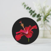 Seitenansicht der Blume des roten Hibiskus Einladung (Stehend Vorderseite)