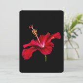 Seitenansicht der Blume des roten Hibiskus Einladung (Stehend Vorderseite)