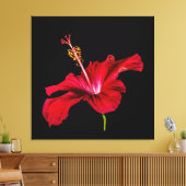 Seitenansicht der Blume des roten Hibiskus Leinwanddruck (Insitu (Wohnzimmer))