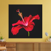 Seitenansicht der Blume des roten Hibiskus Leinwanddruck (Insitu (Wohnzimmer))