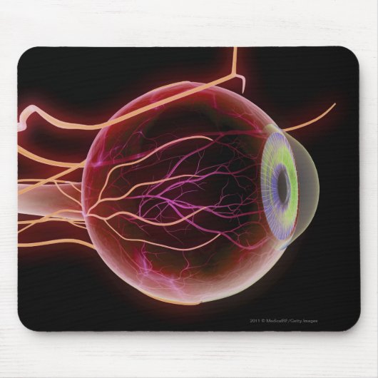 Seitenansicht der Blutgefäße des Auges Mousepad (Vorne)