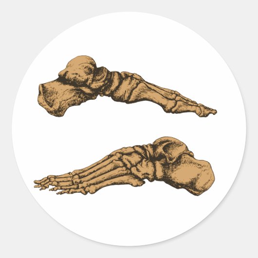 Seitenansicht der Fußknochen - Sepia Runder Aufkleber (Vorderseite)