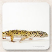 Seitenansicht der Leopard Geckoeidechse Getränkeuntersetzer (Vorderseite)