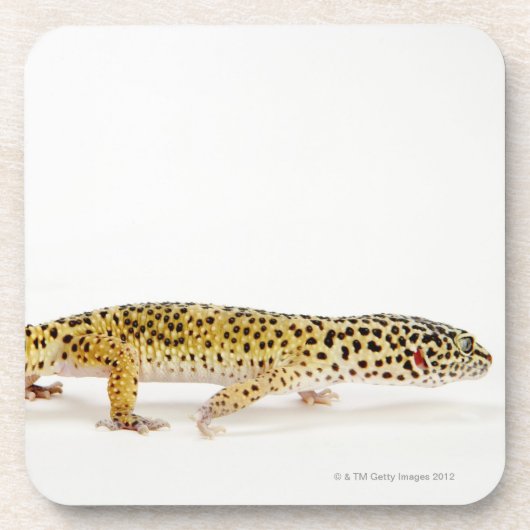 Seitenansicht der Leopard Geckoeidechse Getränkeuntersetzer (Vorderseite)