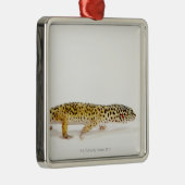 Seitenansicht der Leopard Geckoeidechse Ornament Aus Metall (Rechts)