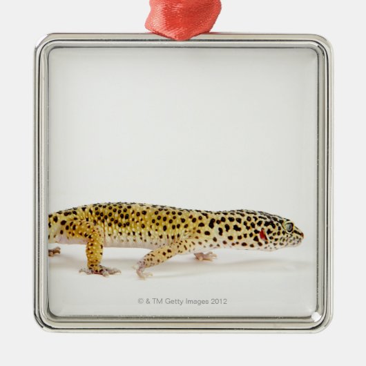 Seitenansicht der Leopard Geckoeidechse Ornament Aus Metall (Vorne)