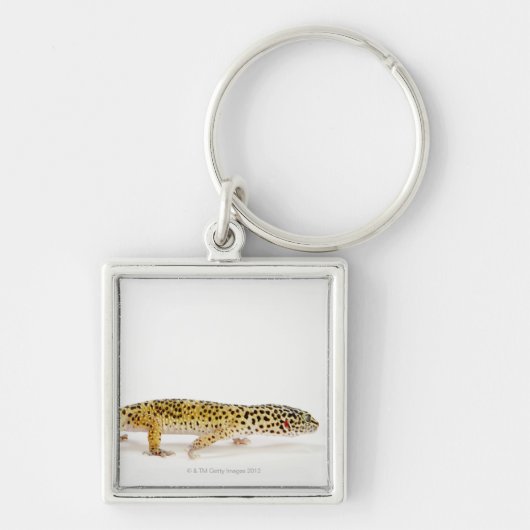 Seitenansicht der Leopard Geckoeidechse Schlüsselanhänger (Vorne)