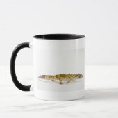 Seitenansicht der Leopard Geckoeidechse Tasse (Links)