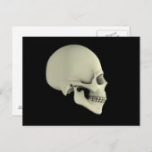 Seitenansicht des menschlichen Schädels Postkarte (Vorne/Hinten)
