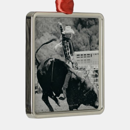Seitenansicht des Reiters an hängend zu Silbernes Ornament (Rechts)