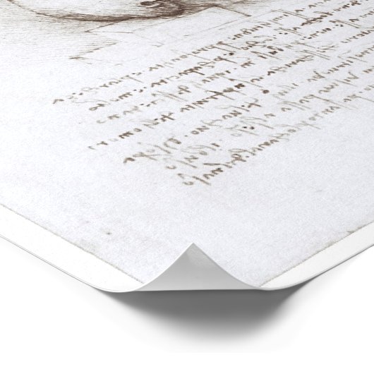 Seitenansicht des Schädels, Leonardo da Vinci Poster (Ecke)